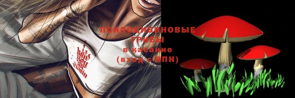 MDMA Premium VHQ Волосово