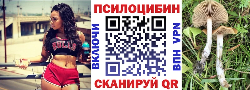 Псилоцибиновые грибы Magic Shrooms  Томск 